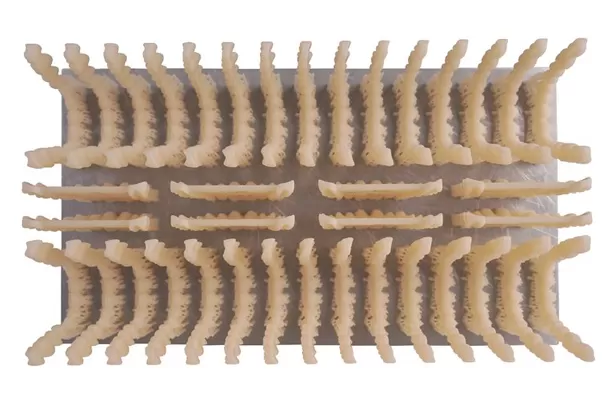 Временная корона
