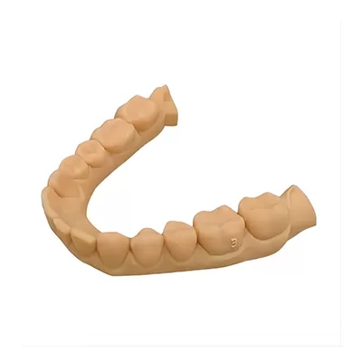 Модель XE Смола