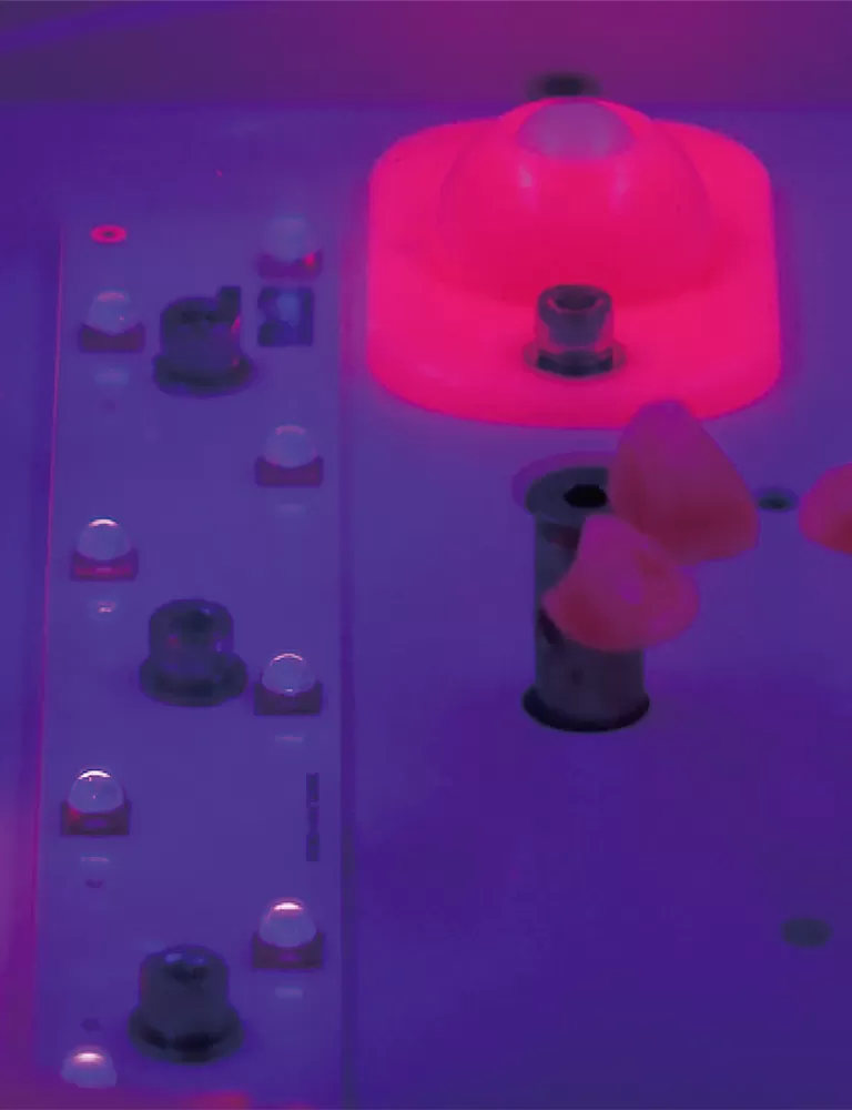 Поднимите свои 3D-принты с помощью профессиональных решений для последующей обработки RAYSHAPE