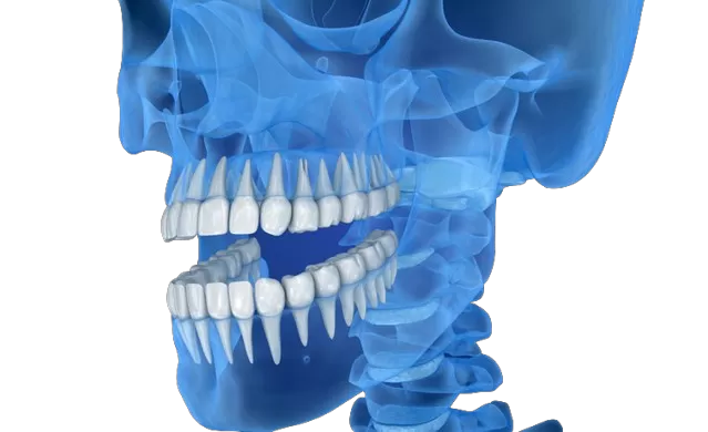 Преобразование стоматологической точности с помощью 3D-принтеров RAYSHAPE Преобразование стоматологической точности с помощью 3D-принтеров RAYSHAPE