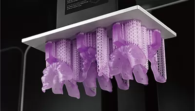 Поднос Фиолетовая смола