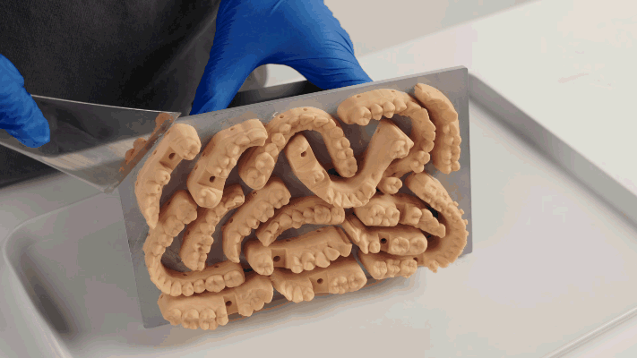 Comprehensive Upgrade in Multiple Dimensions Comprehensive Upgrade in Multiple Dimensions