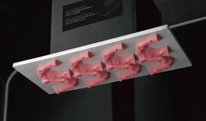 Artificial Gingiva Model Resin: Soft Pink Artificial Gingiva Model Resin: Soft Pink